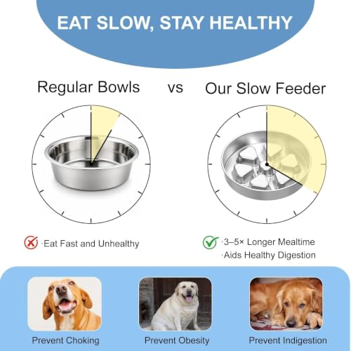 Stainless Steel Slow Feeder Dog Bowl