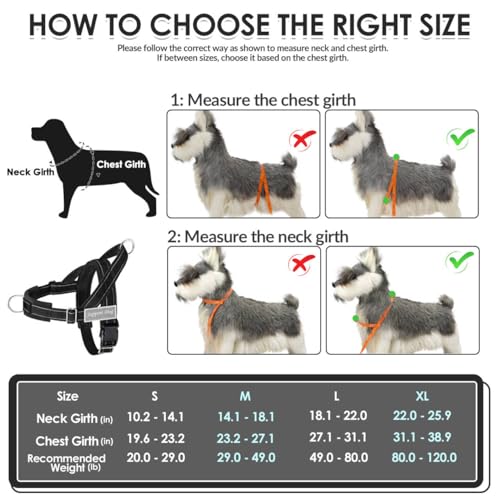 No Pull Dog Harness and Leash Set (Black / Large)