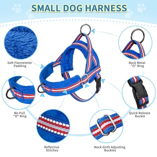 No Pull Small Dog Harness and Leash Set with Front Clip (XX-Small / Dark Blue)