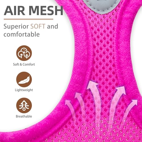 Dog Harness Collar and Leash Set No Pull for Small Medium Sized (Solid DeepPink / L (CHEST 18"-20"))