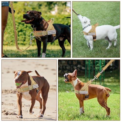 No Pull Dog Harness and Leash Set (Tan / X-Large)