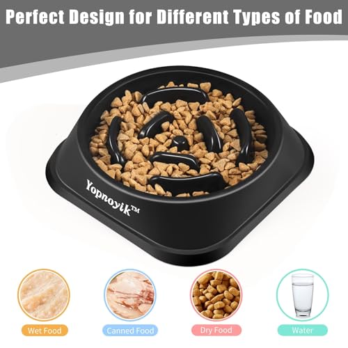 Slow Feeder Dog Bowls for Large Dogs (Large / Black)
