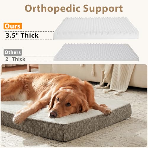 Orthopedic Dog Bed XL (XL(41"x27") / Beige)