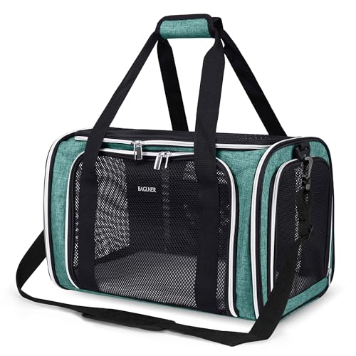 Pet Travel Carrier (Green / 17.0"L x 11.0"W x 12.0"H)
