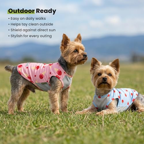2 Pack Ice Cream & Cherry UPF 50+ UV Sun Protection Dog Shirt (X-Small / Ice Cream & Cherry)