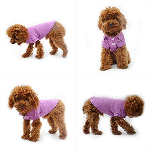 Basic Dog Polo Shirts Premium Cotton (M (-12lbs) / Violet)