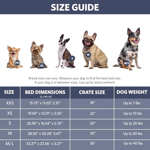 QuietTime Fashion Dog Bed (Blue / 24 Inch)