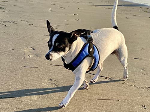 Escape Free Easy Fit Dog Harness (Medium chest (18~21.75") / Blue)