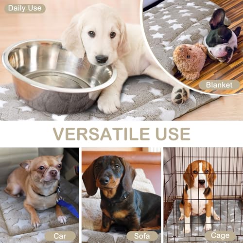4 Pcs Dog Crate Pads Soft Warm (Rectangular 20 x 30 x 1.6 Inch / Star / Apricot)