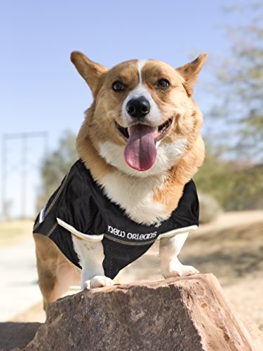 NFL NEW ORLEANS SAINTS DOG Jersey (XX-Large / New Orleans Saints)