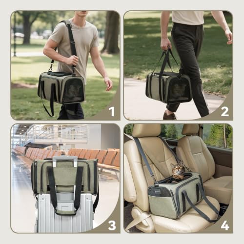 Small Double Expandable Cat Carrier for Kittens and Air Travel (16.0"L x 10.0"W x 9.0"H / Green)