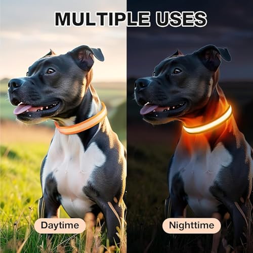 Light up Dog Collar (Orange / S(11 inch-15.7 inch))