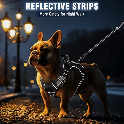 Tactical Dog Harness and Leash Set Medium Sized Dog+10 Dog Patches (Medium / Black)