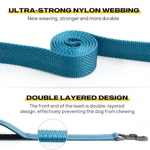 Heavy Duty Dog Leash for Medium Large Dogs (5 Feet (Pack of 1) / Blue)