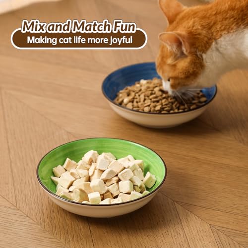 Colorful Ceramic Cat Bowls Set (color 1)