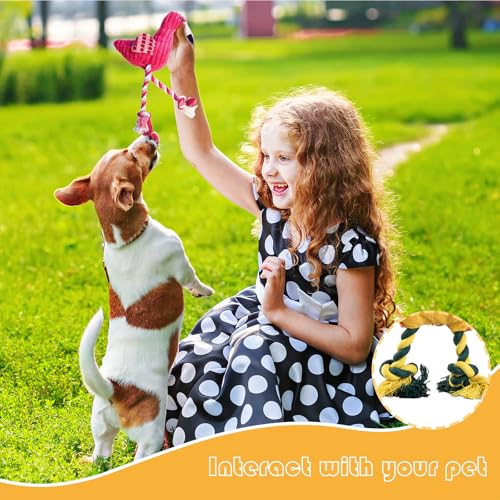5 Pack Plush Dog Toys with Rope