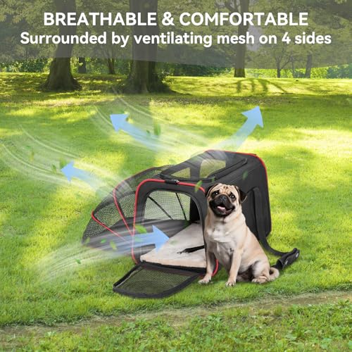 Large Expandable Cat Carrier for Travel (19"L x 12"W x 12"H / Black)