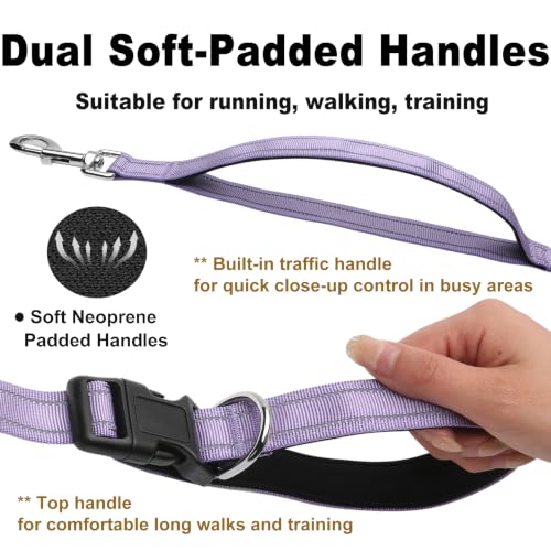 Bungee Dog Leash (Lavender / 4.6-7.3FT)