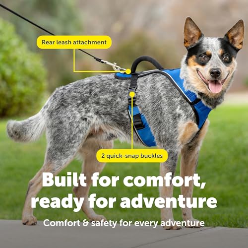EasySport Dog Harness (Medium / Blue)