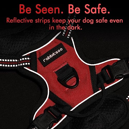 Dog Harness No Pull for Small Dogs with 2 Leash Clips (X-Small / Red)