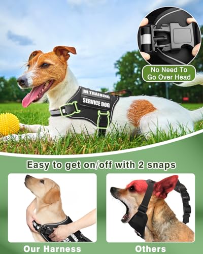 Service Dog Vest Harness and Leash Set+10 Patches for Puppy Small Dogs (Extra-Small / Black)