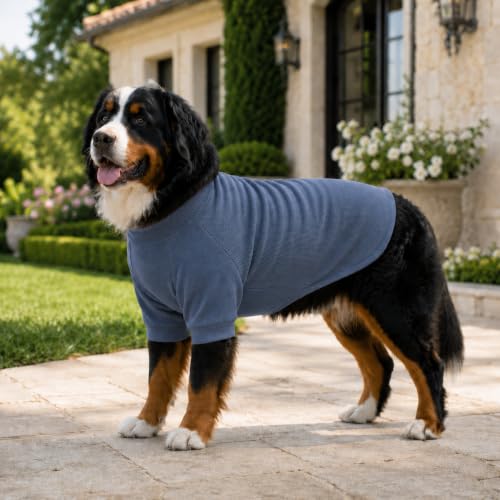 Ribbed Dog T Shirt Cotton Knitted Dog Sweaters for All Season Pet T (3XL (for Large Dog) / Grayish blue)