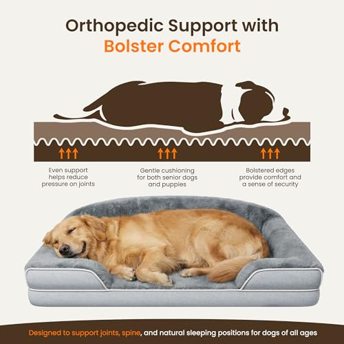 Orthopedic Dog Bed for Small to Medium Dogs (Light Grey / 30.0"L x 20.0"W x 6.5"Th)