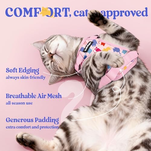 Cat Harness and Leash Set (M / Purrty Pink)