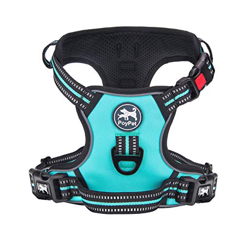 Dog Harness Medium (Medium / Mint Blue)