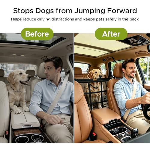 Dog Car Barrier (Black)