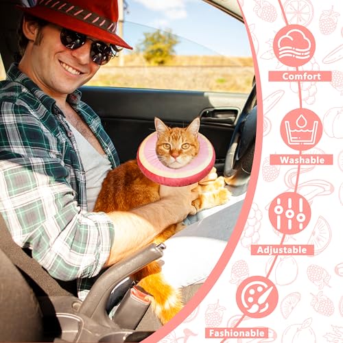 Cat Cone Collar Soft (Peach / Large)