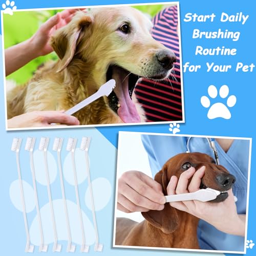 70 Pcs Dog Tooth Brush Dual Headed Pet Toothbrush (White)