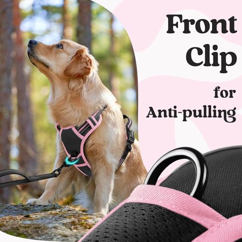 Dog Harness Medium Sized (Medium / Black & Pink)