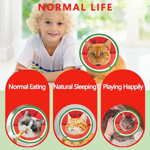 Soft Adjustable Cat Cone Collar (Watermelon / Small)