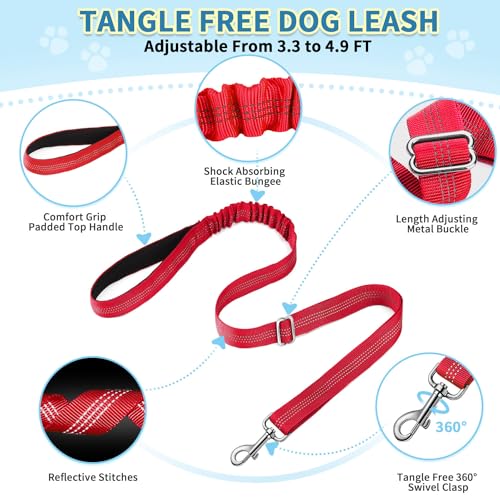 No Pull Small Dog Harness and Leash Set with Front Clip (Small / Red)