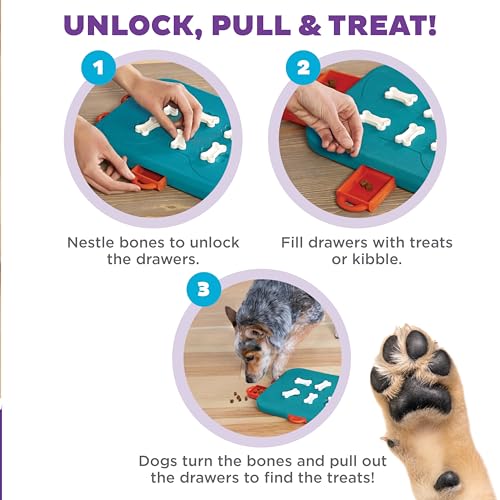 Nina Ottosson Dog Casino Dog Toy Treat Puzzle (Dog Casino (Blue, Orange) / 1 Count (Pack of 1))