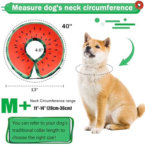 Recovery Donut Collar for Dogs & Cat (Watermelon / M+（neck 11"-14"）)