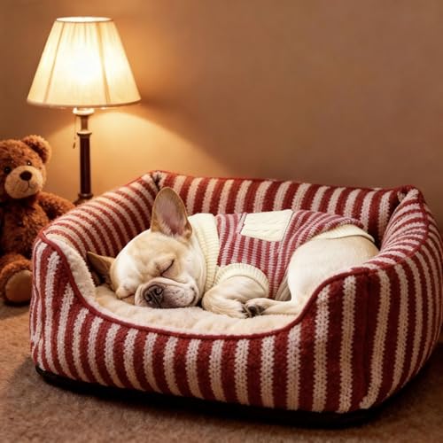 Small Dog Sweater (White Stripe Pullover(Order One Size Up) / Large)