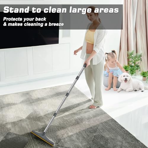 Carpet Rake for Pet Hair Removal (Gray)