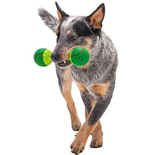 Holiday Collection goBone Double (goBone Tennis Ball Toy / Large)