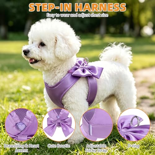 Small Dog Harness and Leash Set (PURPLE / M (Chest Girth: 16.1"-18.9"))