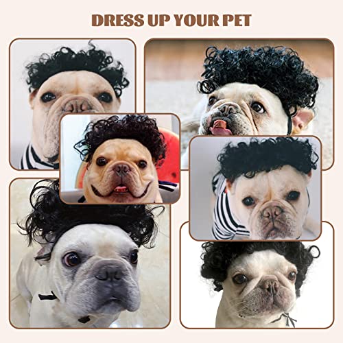 Dog Costume Cat Apparel Dog Toys Curly Braids Headgear Wigs Styling Cute Funny Pet Hair Accessories Decoration for Halloween (Black)