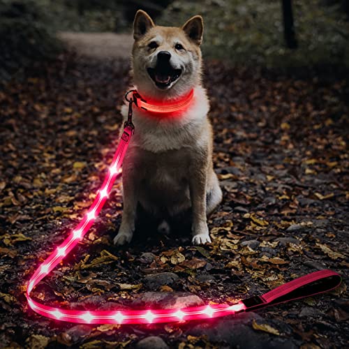 LED Dog Leash (PinkⅡ)