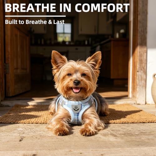 Dog Harness Collar and Leash Set No Pull for Small Medium Sized (Blue / S (CHEST 14.5"-16"))