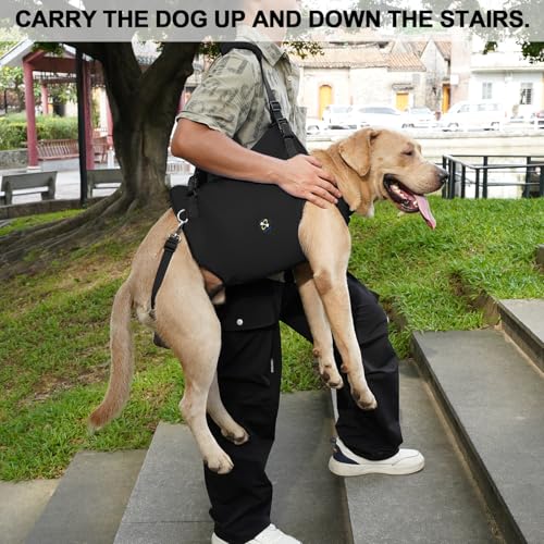 Dog Lift Harness (Small / Black)