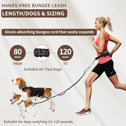 Hands Free Dog Leash for 2 Dogs Up to 250 lb (Black / Two Dogs)