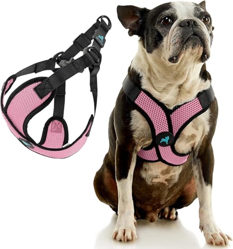 Comfort X Step (Large (19-22") / Pink)