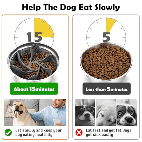 Elevated Dog Bowls for Large Dogs with Slow Feeder & Mat (H:16.5", Slow Feeder & Mat,101oz Cap.)