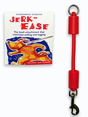 BUNGEE DOG LEASH EXTENSION (Extra Small (up to 10 pounds) / Red)