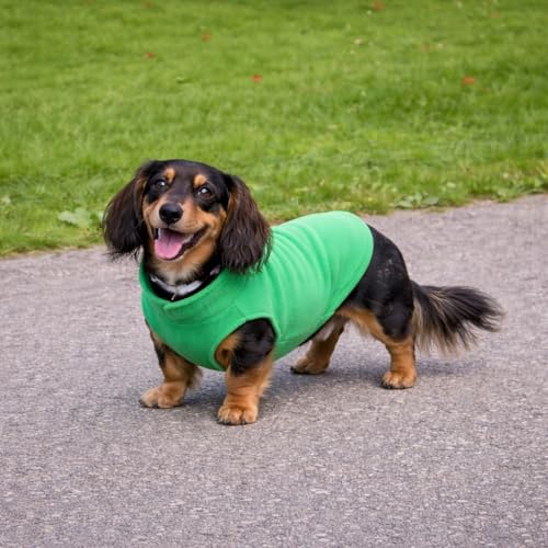 Dog Fleece Vest Sweater with Leash Ring (L (10-16lbs) / Green)